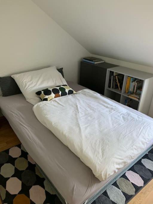 Wohnung Mit Einer Sauna Direkt Am Park Wiesbaden Kültér fotó